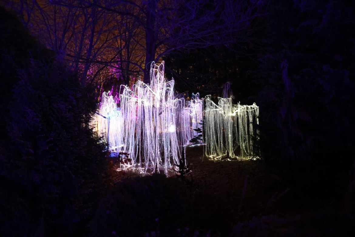 Lumina Park 2023 w Lublinie