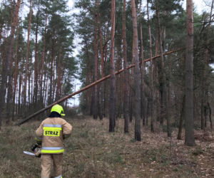 Niż Eunice w Grudziądzu. Straty są ogomne!
