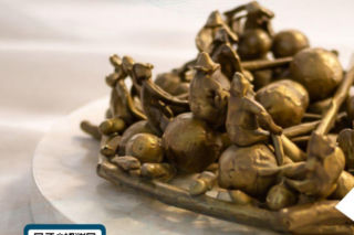 Trwają zgłoszenia do Konkursu IDOL 2026 – wyróżnienia dla tych,  którzy zmieniają świat na bardziej dostępny! 