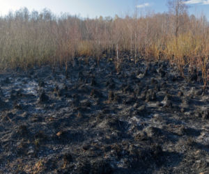 Biebrzański Park Narodowy UGASZONY. Zobacz, jakie zniszczenia spowodował ogień