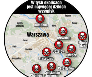 śmieci
