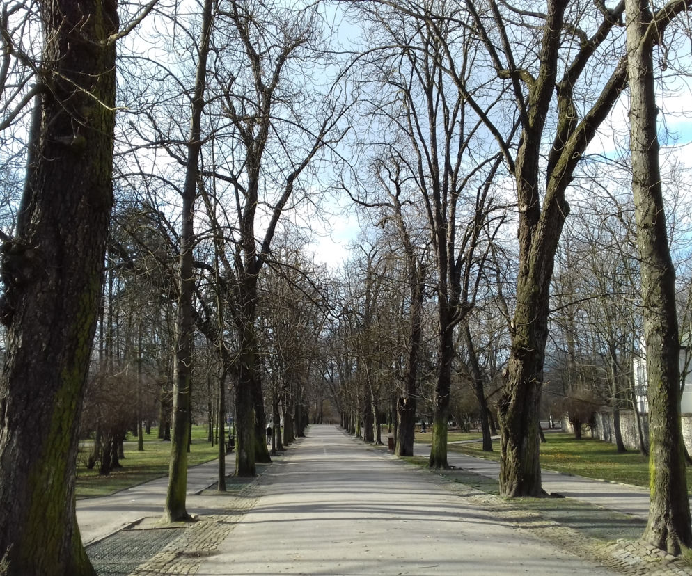Park Miejski w Kielcach