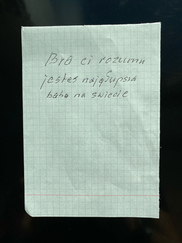 "Takich jak ty powinni palić w Auschwitz"