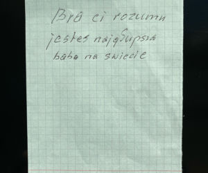 Takich jak ty powinni palić w Auschwitz