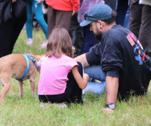 XIII Piknik Przyjaciół Schroniska w Toruniu. Fotorelacja z imprezy