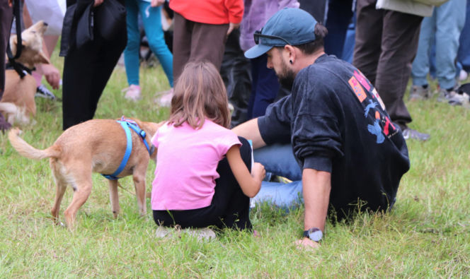 XIII Piknik Przyjaciół Schroniska w Toruniu. Fotorelacja z imprezy