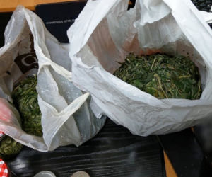 Kryminalni zabezpieczyli ponad 4 kilogramy marihuany
