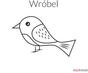 ptaki kolorowanki - wróbel