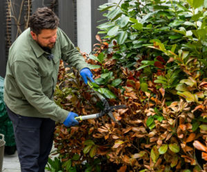 Murator Ogroduje, realizacje