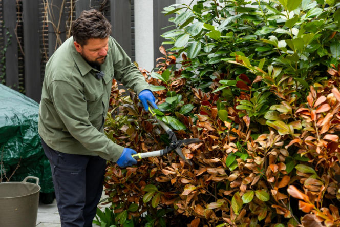 Murator Ogroduje, realizacje