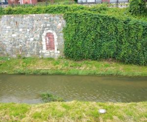 Sytuacja hydrologiczna w Tarnowie. Czy grozi nam powódź?