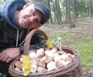Król starachowickich lasów Samotny Wilk