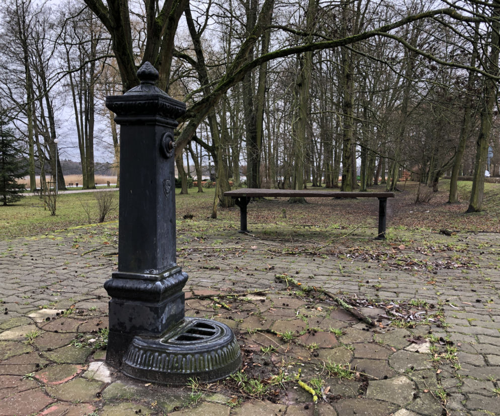 Chcą wybudować poidełka w parku miejskim 