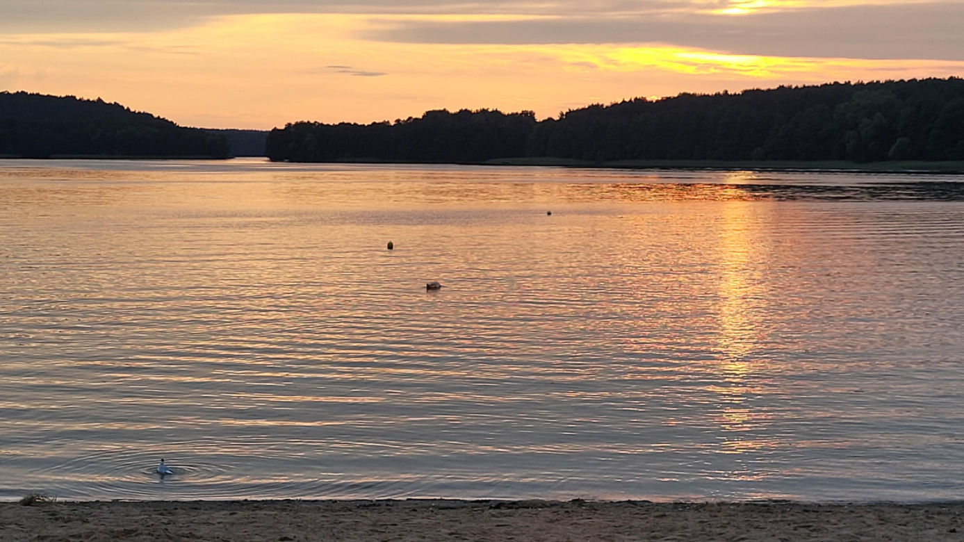 To najlepsza plaża w Olsztynie. Wyboru dokonała sztuczna inteligencja