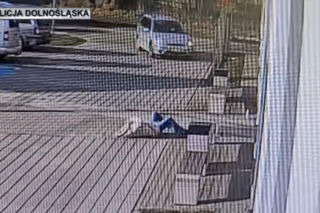 Dramat przed komisariatem. Kobieta runęła na ziemię tuż pod oknami policjantów