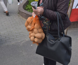 Nietypowy protest Agrounii. Rolnicy rozdawali ziemniaki w Toruniu