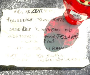 Skandal na grobie Pawła Królikowskiego