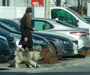 Antek Królikowski i nowa przyjaciółka. Połączył ich pies