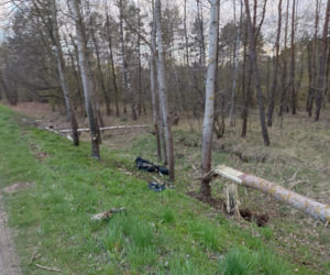 Wyszków. Przerażający widok! Motocykl rozerwany na części i złamane drzewo. Śmigłowiec zabrał kierowcę (ZDJĘCIA]