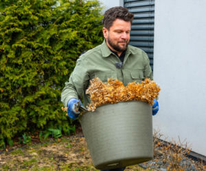 Wiosenne porządki w ogrodzie