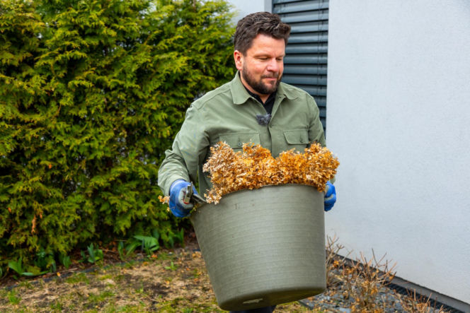 Wiosenne porządki w ogrodzie