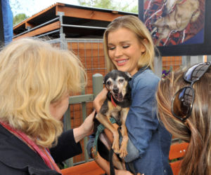 Joanna Krupa. Bydlaki, potwory, ohydni ludzie!