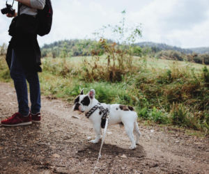 To najbardziej klimatyczne miejsce w Polsce. AI wskazało! Idealne na majówkę 