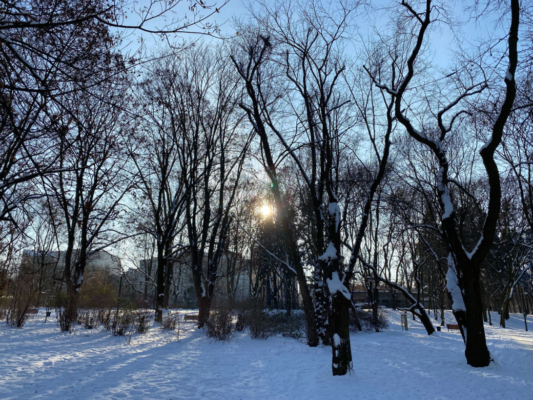 Śnieżna zima w Parku Praskim