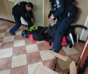 Psy służbowe, szkolenia i strefa pierwszej pomocy. Trwa drugi dzień CERBERUS K9 w Ostrowie