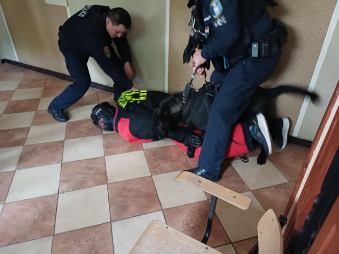 Psy służbowe, szkolenia i strefa pierwszej pomocy. Trwa drugi dzień CERBERUS K9 w Ostrowie