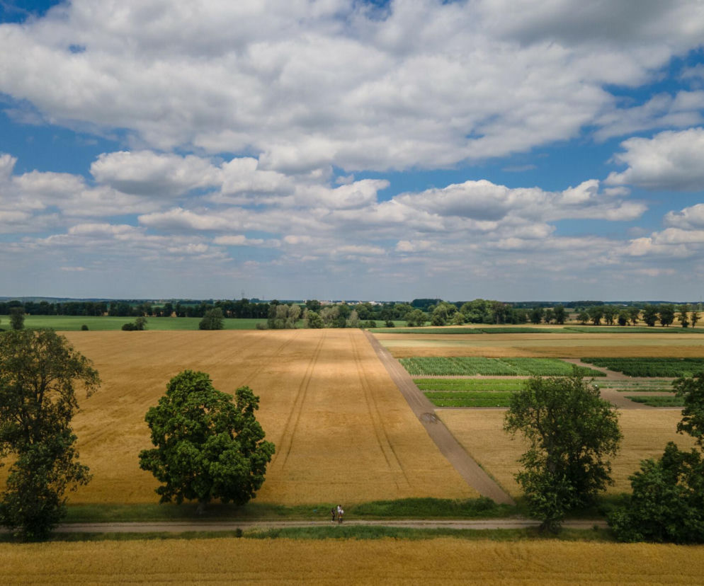 Tutaj żyje się najgorzej w Łódzkiem. Ta gmina jest na szarym końcu rankingu jakości życia
