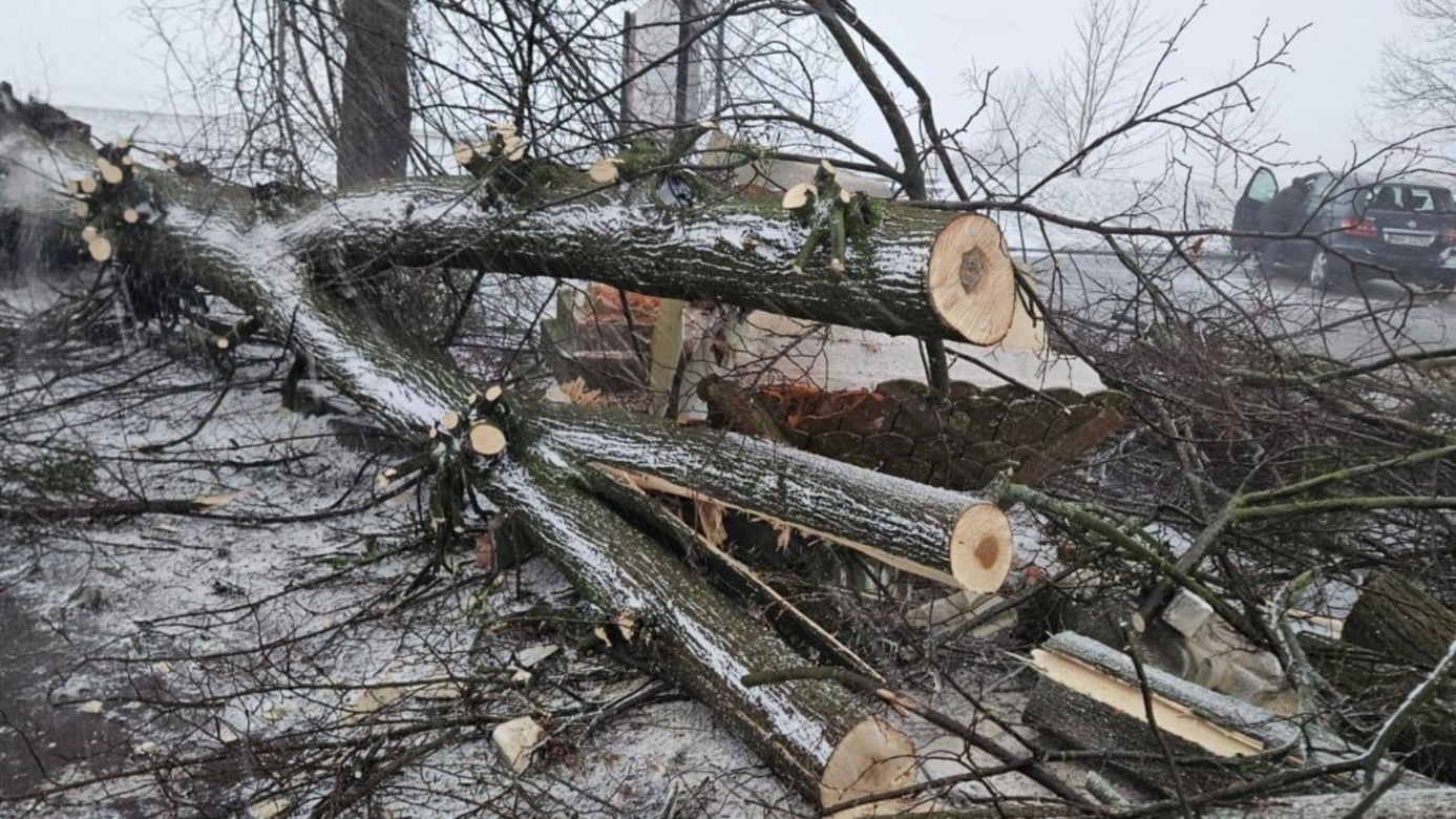 Wichura zniszczyła zabytkową kapliczkę przy sanktuarium