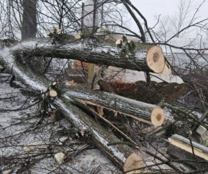 Wichura zniszczyła zabytkową kapliczkę przy sanktuarium