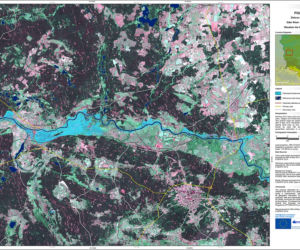 Powódź na Odrze - Krosno Odrzańskie
