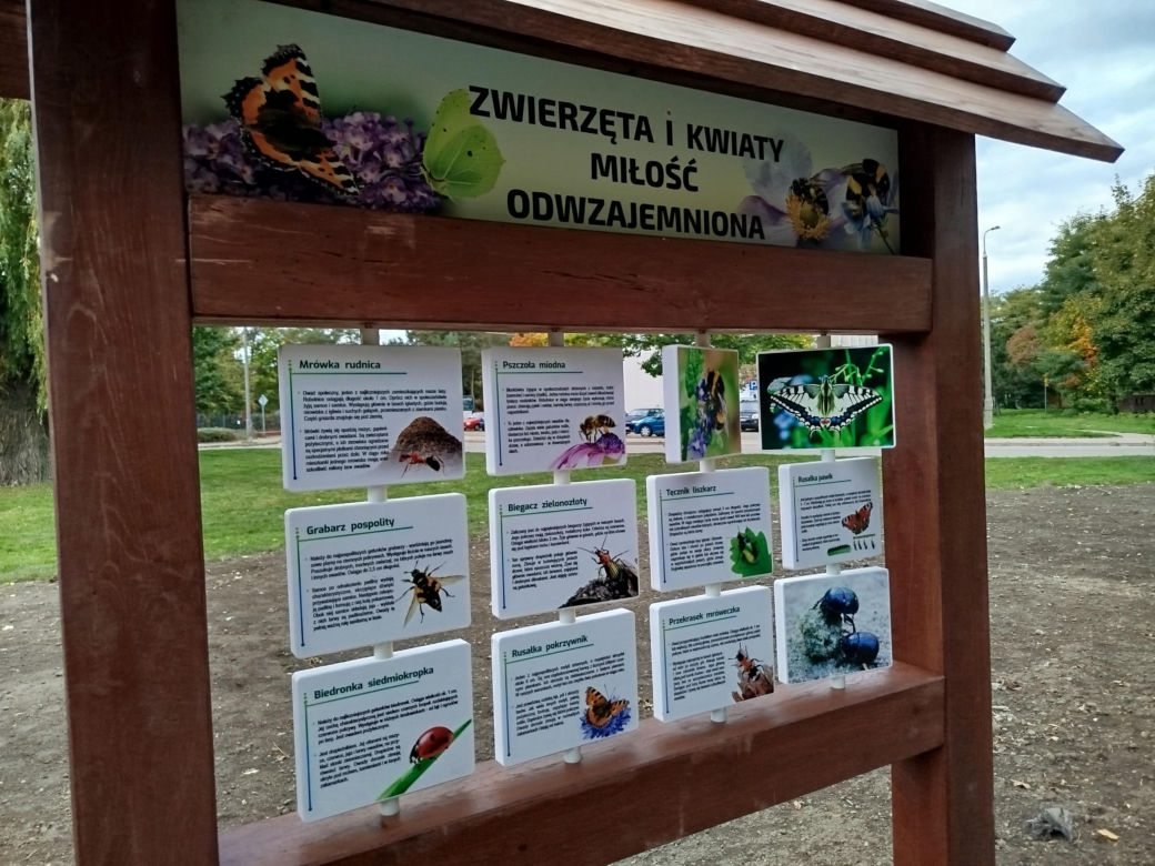 Park kieszonkowy przy ul. Żytniej w Siedlcach