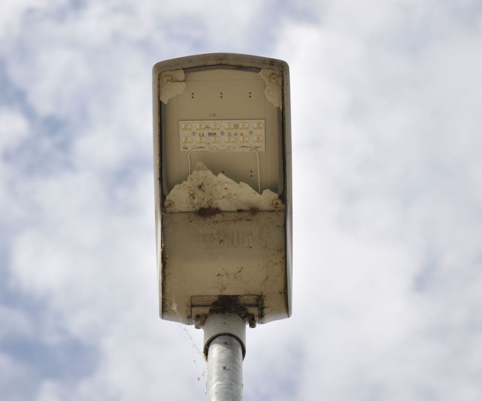 Strzlali do lamp