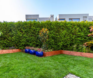 Ogródek przy mieszkaniu w bloku