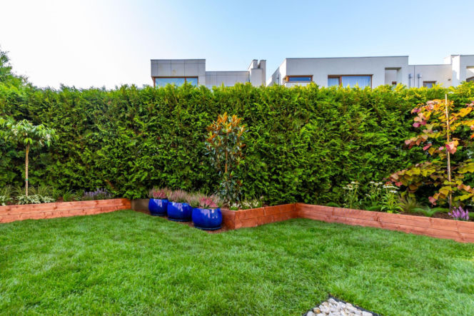 Ogródek przy mieszkaniu w bloku