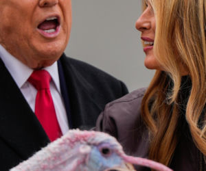 Trump ułaskawił indyki. Ale poprzednie zostaną zjedzone?!