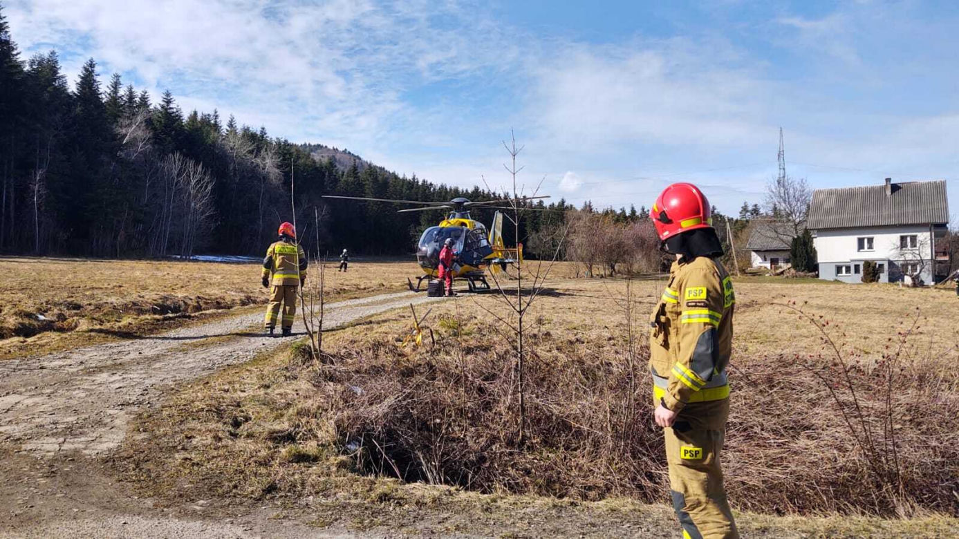 Stara Wieś. Tragedia podczas wycinki drzew. Konar przygniótł mężczyznę. Poszkodowany nie żyje