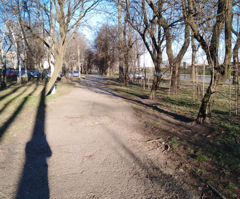 Słońce świeci, a na ulicach... pustki!