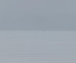 Siedlczanin Kryspin Mitura ukończył Koronę Ziemi oraz Koronę Wulkanów Ziemi w rozszerzonym wariancie „Double Seven Summits”!