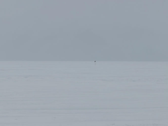 Siedlczanin Kryspin Mitura ukończył Koronę Ziemi oraz Koronę Wulkanów Ziemi w rozszerzonym wariancie „Double Seven Summits”!