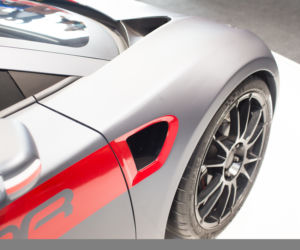 Arrinera Hussarya