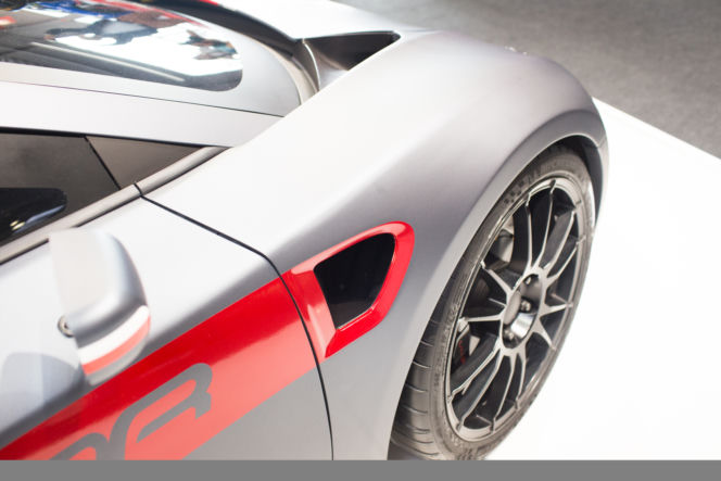 Arrinera Hussarya