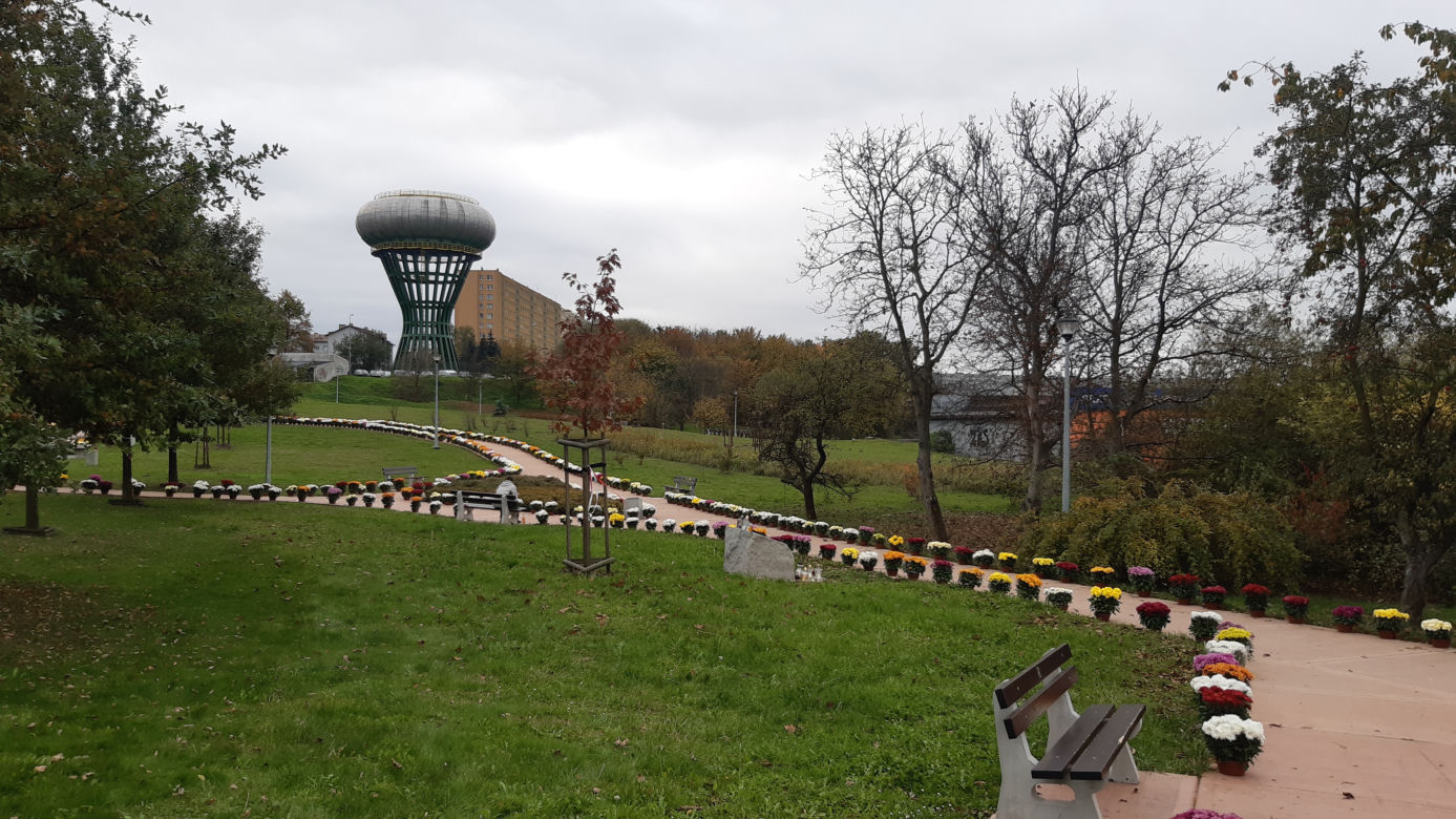Dwa tysiące chryzantem ozdobiło park w Tarnowie