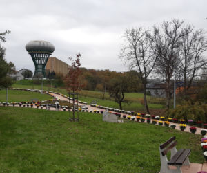 Dwa tysiące chryzantem ozdobiło park w Tarnowie