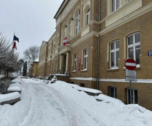 Ma być Perłą w urzędzie! Burmistrz zaprezentował „nową urzędniczkę”. „Uwielbia być głaskana”