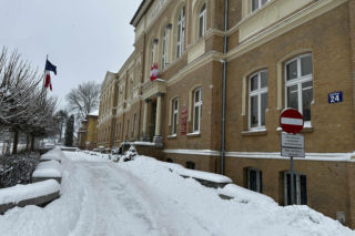 Ma być Perłą w urzędzie! Burmistrz zaprezentował „nową urzędniczkę”. „Uwielbia być głaskana”