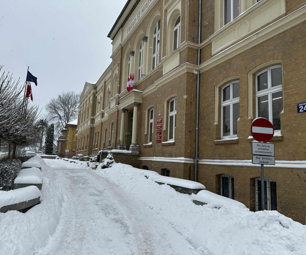 Ma być Perłą w urzędzie! Burmistrz zaprezentował „nową urzędniczkę”. „Uwielbia być głaskana”
